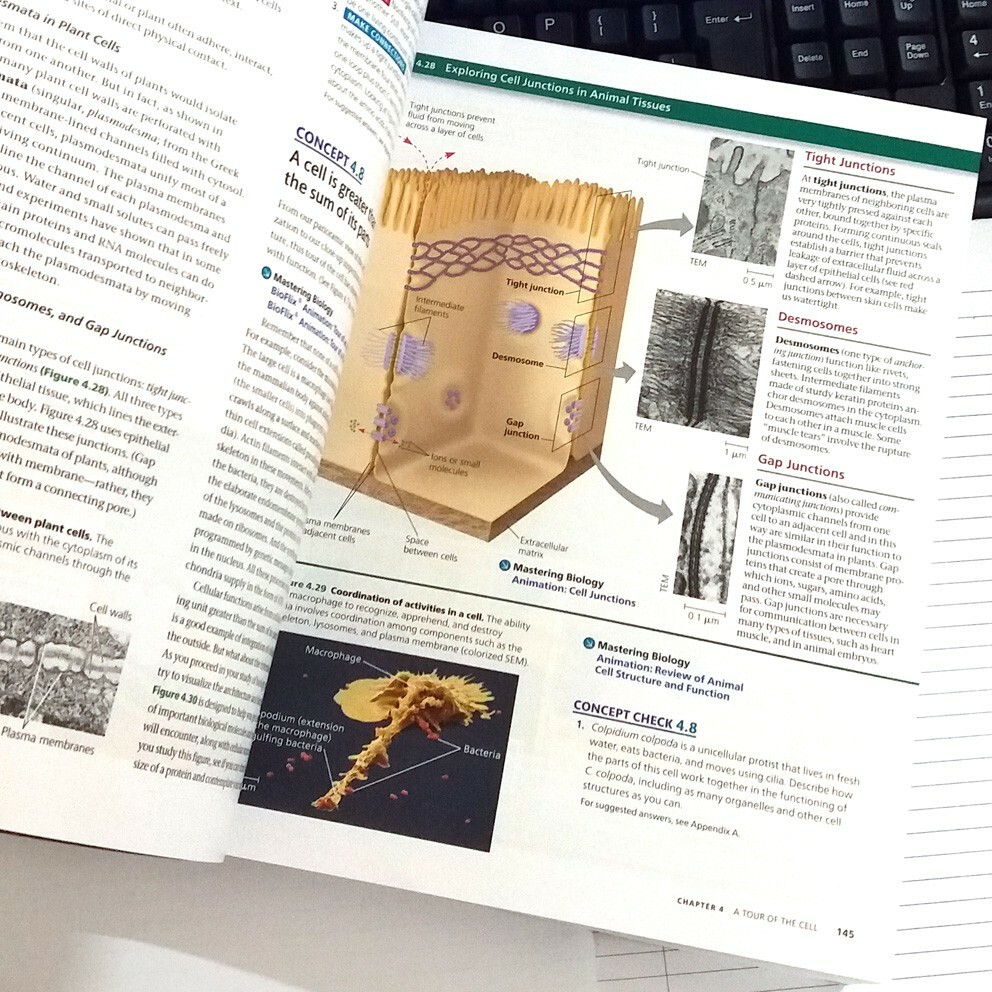 Biology in Focus 第3版 Biology in Focus 第3版 - メルカリ