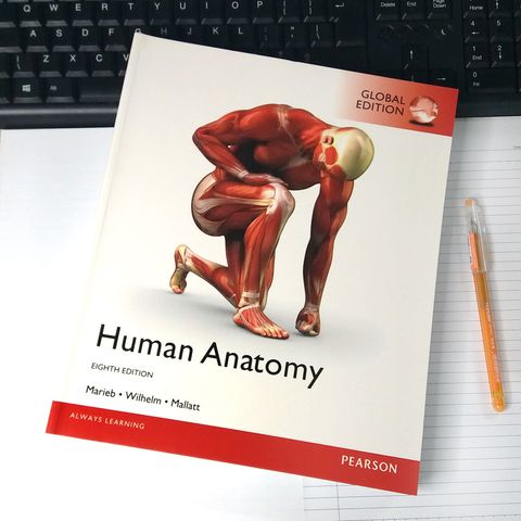 Human Anatomy 1.jpg