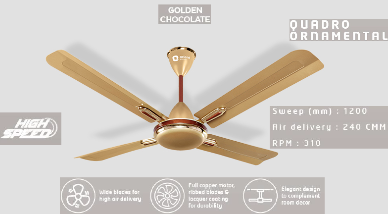 QUADRO ORNAMENTAL01.png