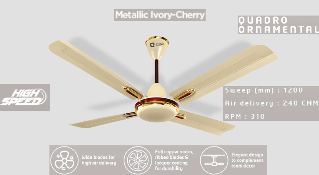 QUADRO ORNAMENTAL02.png