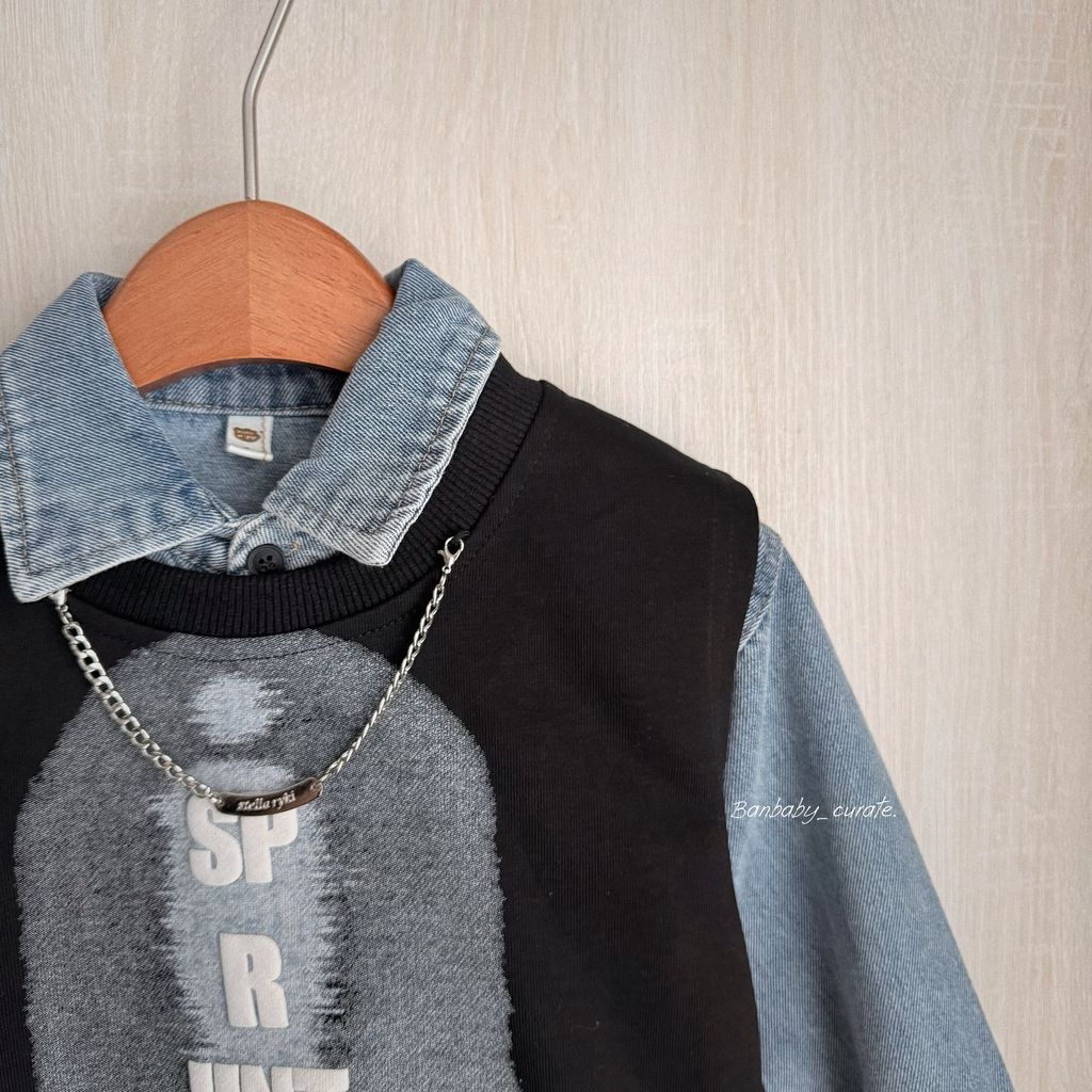 image_C069FA0A-0BF4-4D6D-9176-4C9280E55762_1762842459