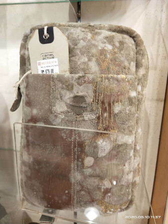 Mold growing on leather Mold growing on leather