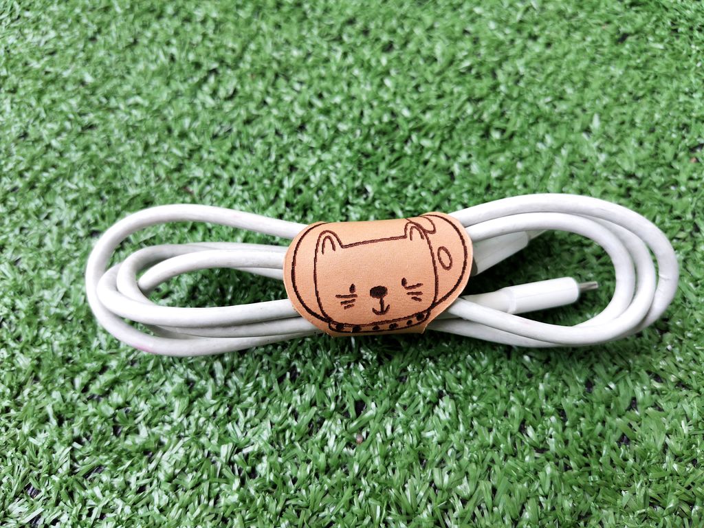 IMG_20211017_142807_spaceshipmeow with cable.jpg