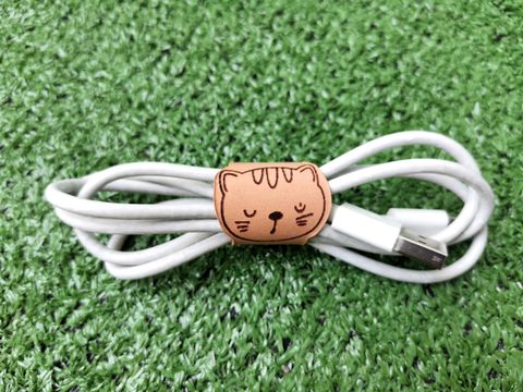 IMG_20211017_143310_with cable.jpg