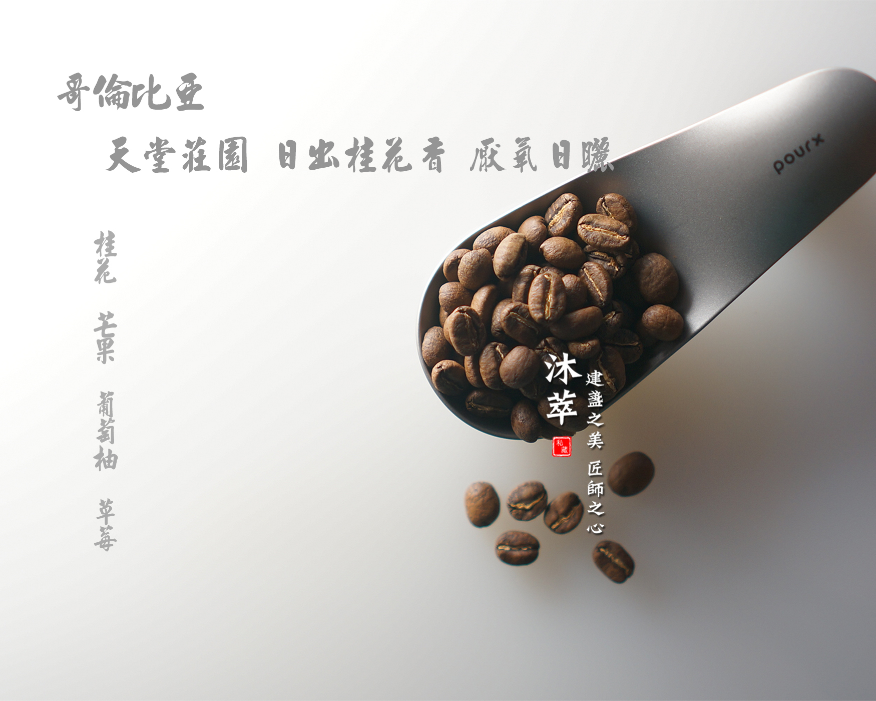 哥倫比亞 天堂莊園 日出桂花香 厭氧日曬-550