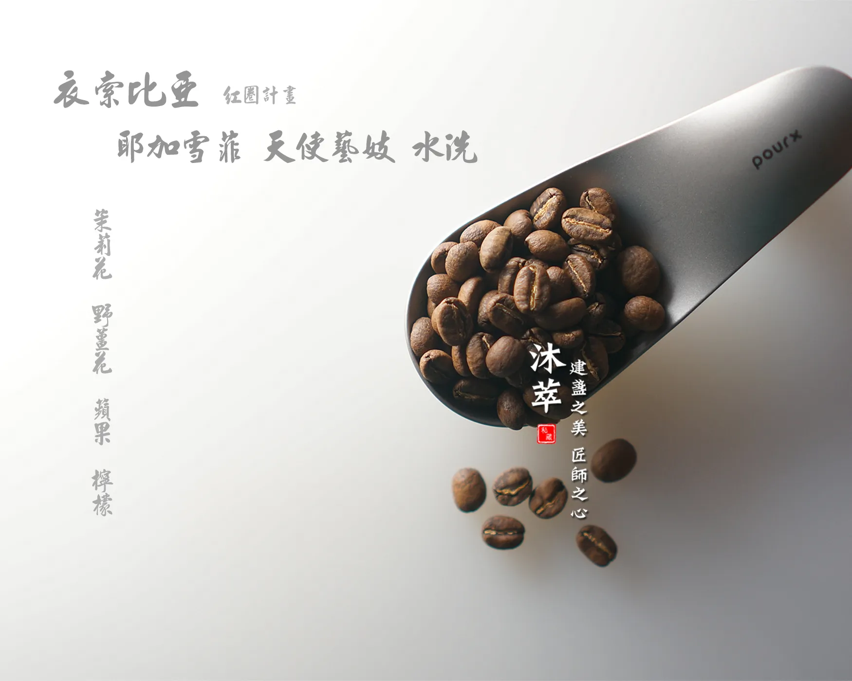 衣索比亞 耶加雪菲 天使藝妓 水洗-450