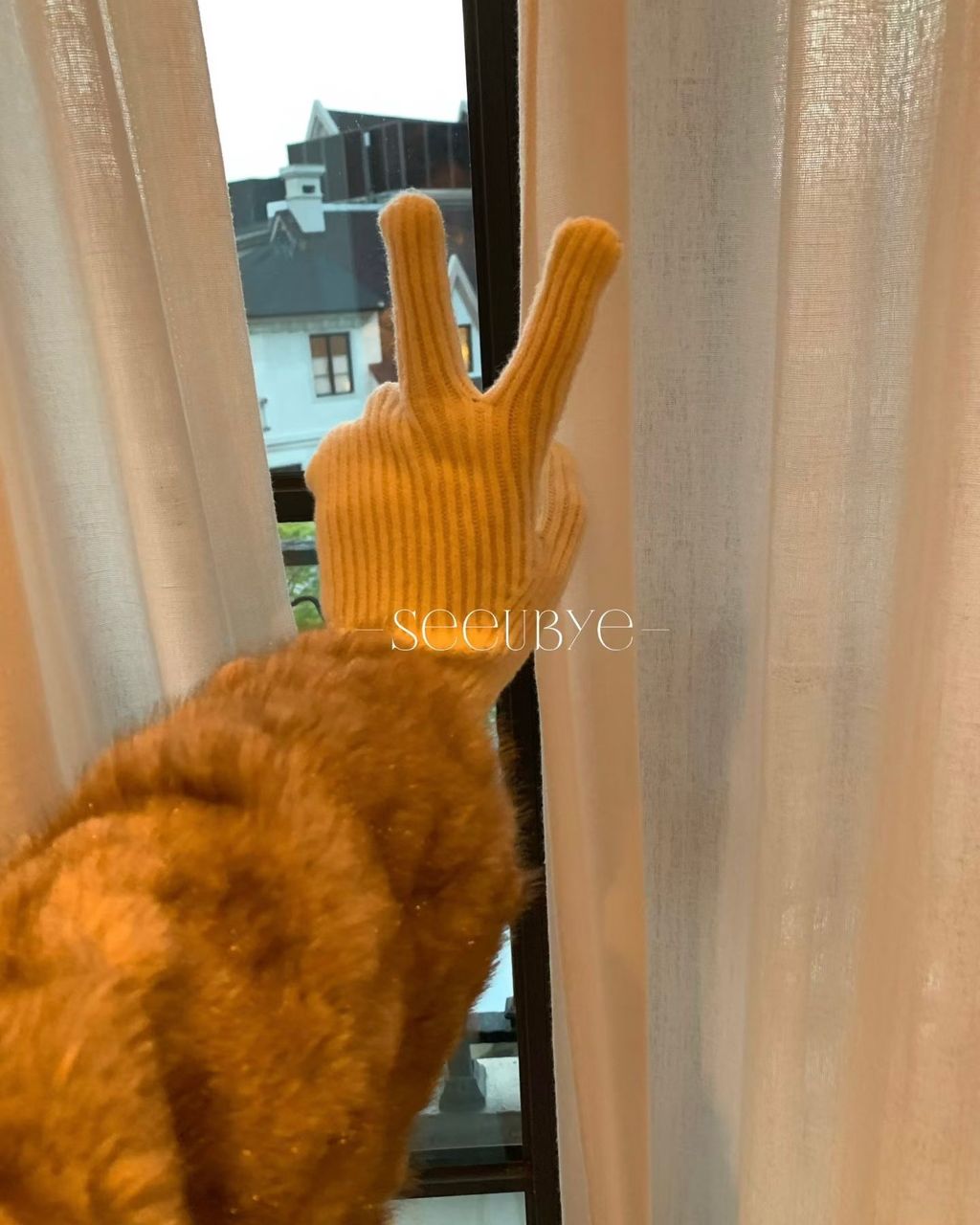 40ebcb127478b553f949133131e82fb8