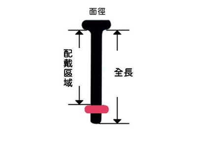 尺寸怎麼看-玻璃直槓鈴