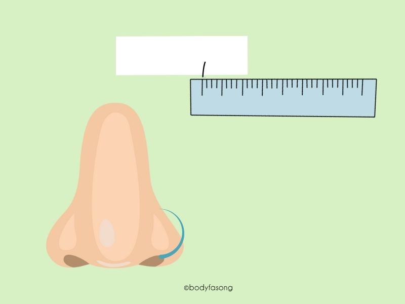 用尺測量標記點