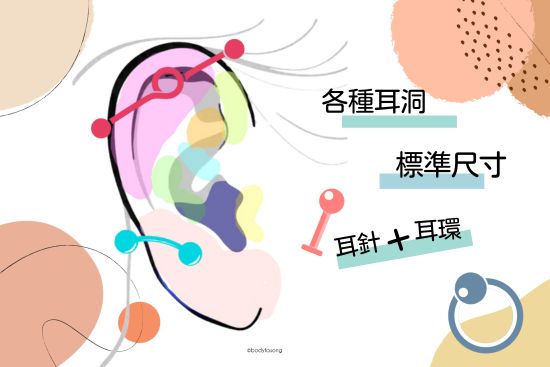 耳環尺寸怎麼挑？教你量耳環大小！