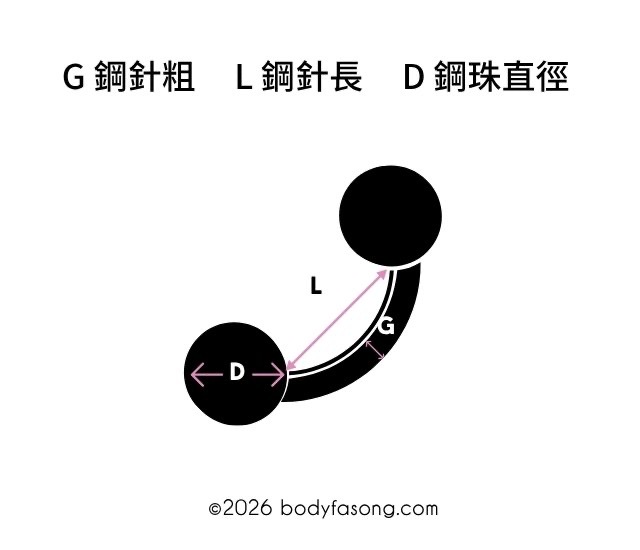 “尺寸怎麼看-彎曲槓鈴“