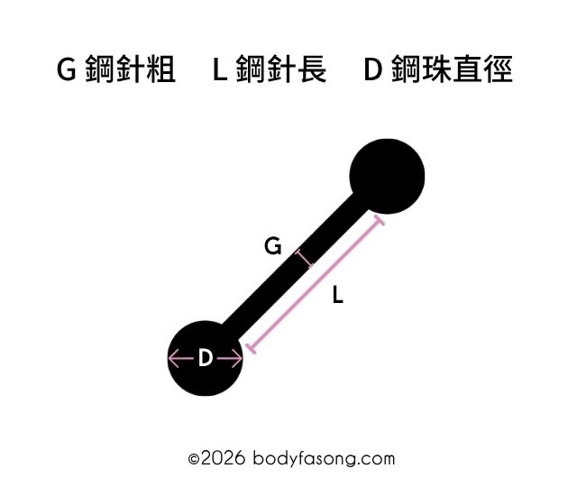 尺寸怎麼看-直槓鈴