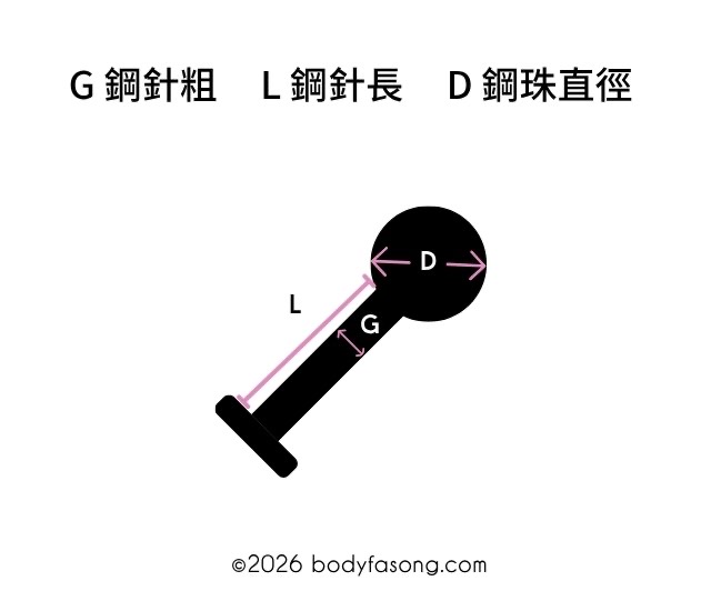 尺寸怎麼看-labret