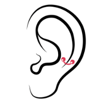耳骨內側穿洞ear pircing-Sung