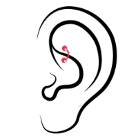 對輪腳穿洞ear pircing-Rook