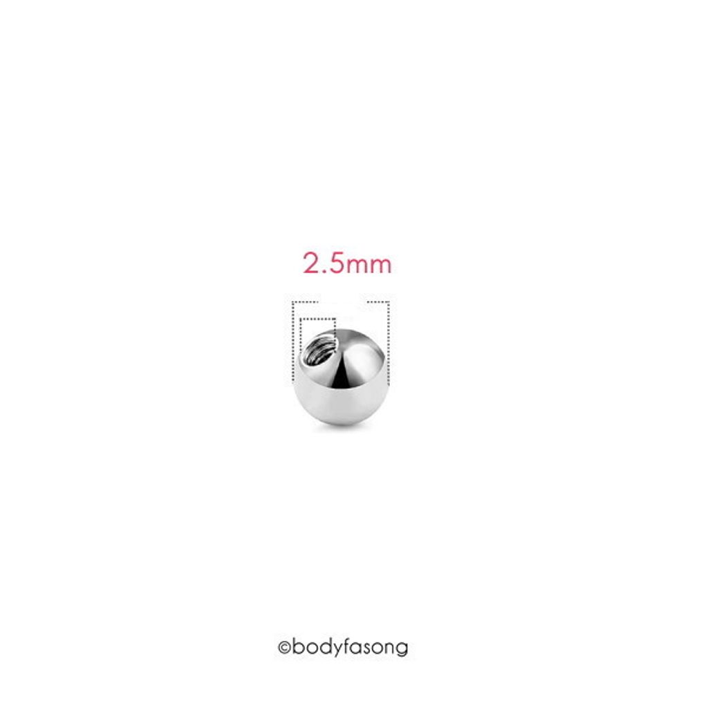 16G 醫療鋼鋼珠 直徑2.5mm