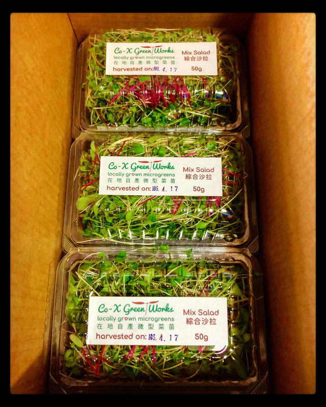 mixedgreens-boxes.jpg