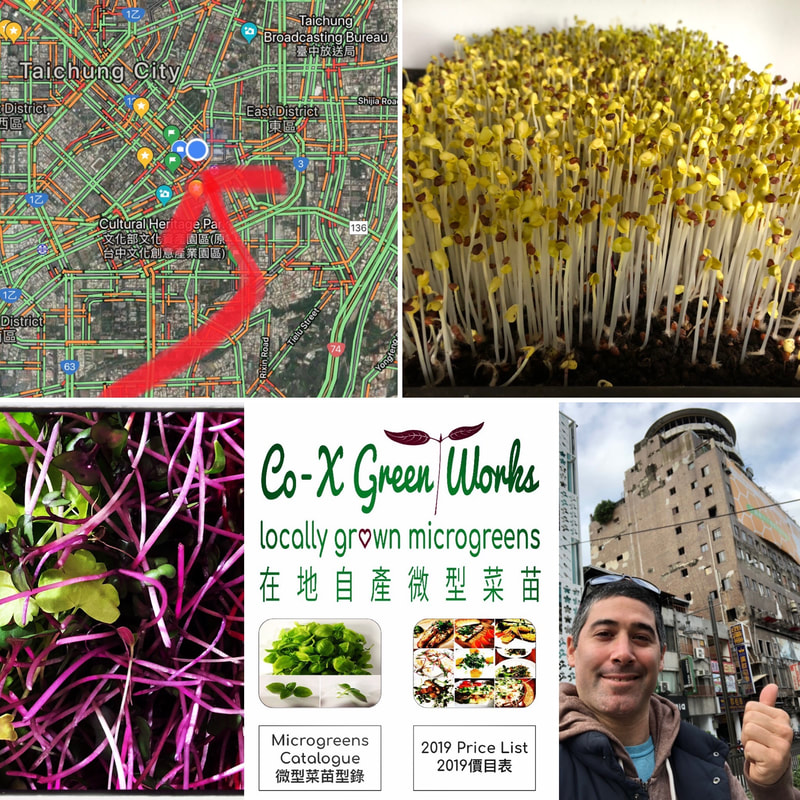 collage-greens2.jpg