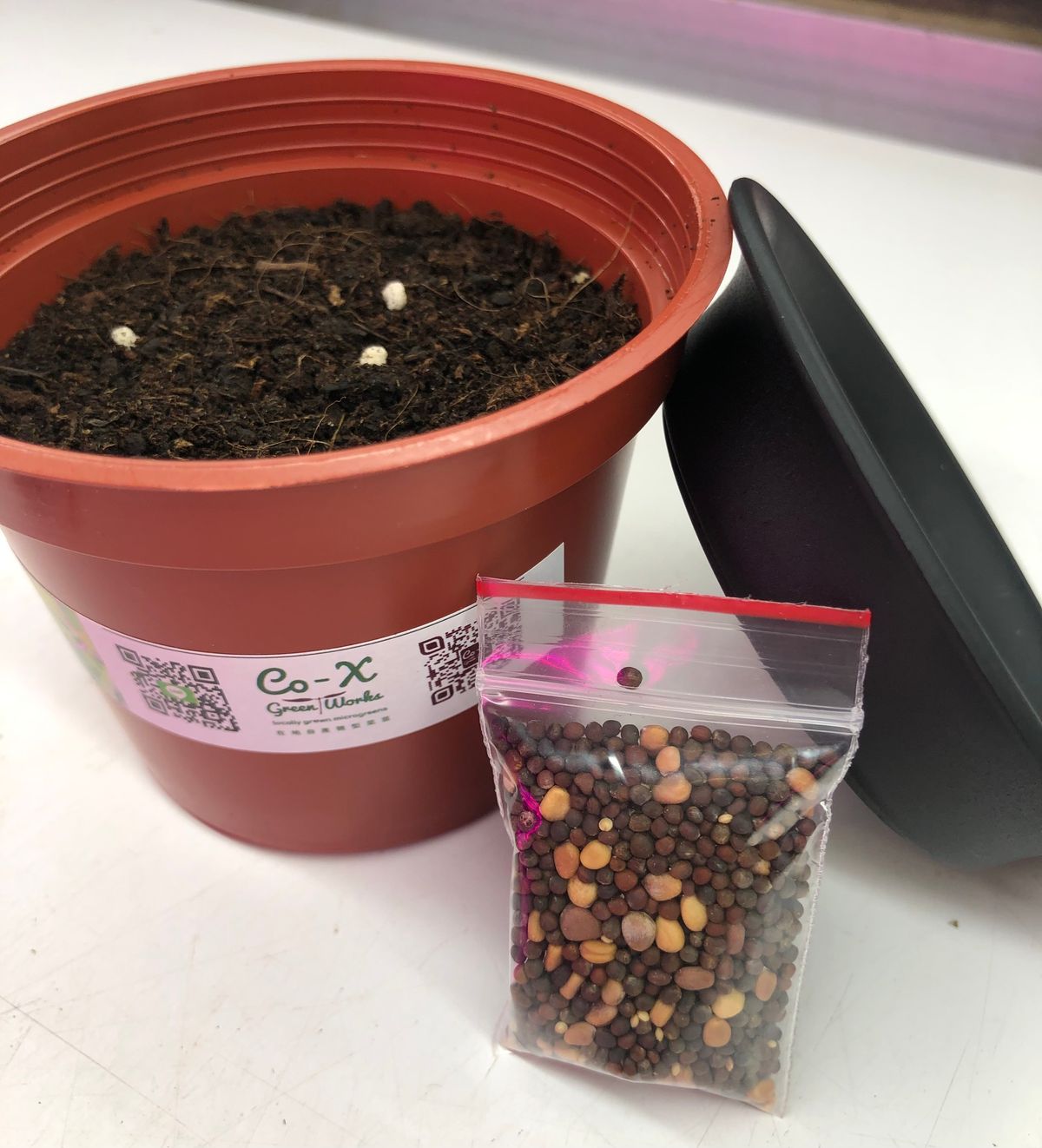 DIY MICROGREENS KIT Instructions