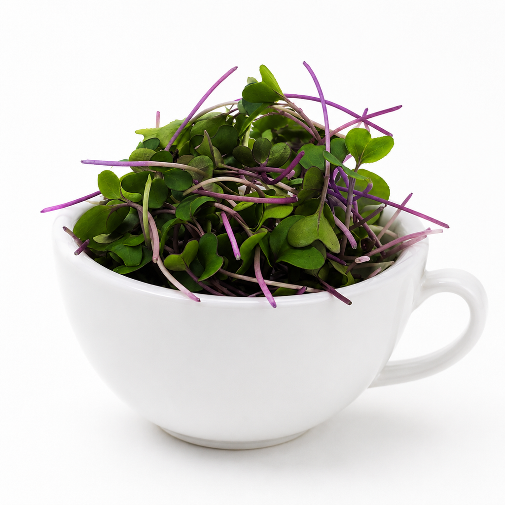 Kohlrabi