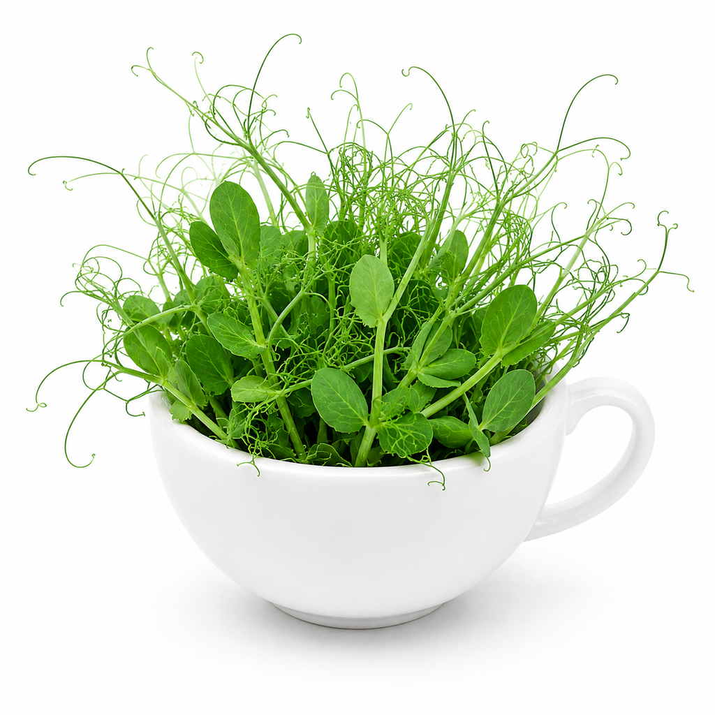 PeaTendrils