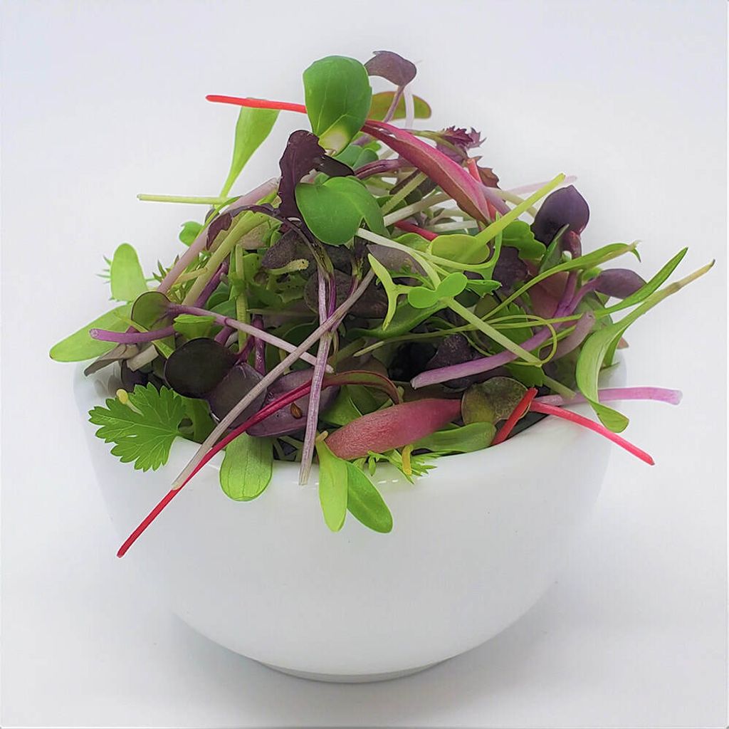 Bowl 混合豆苗沙拉 MIXED MICROGREENS SALAD.jpeg