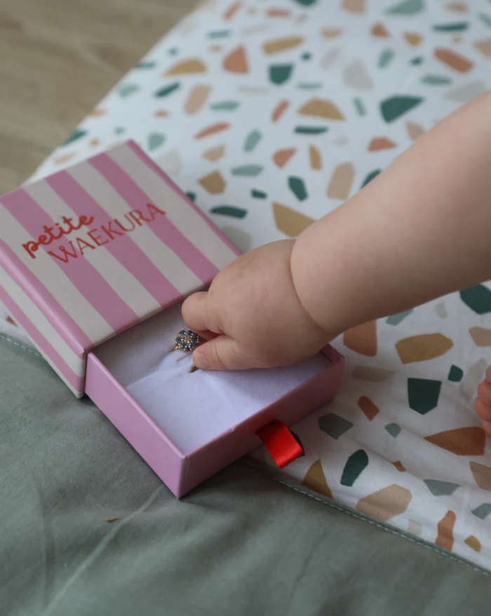 Capture_d_ecran_2025-05-30_a_12.45.21