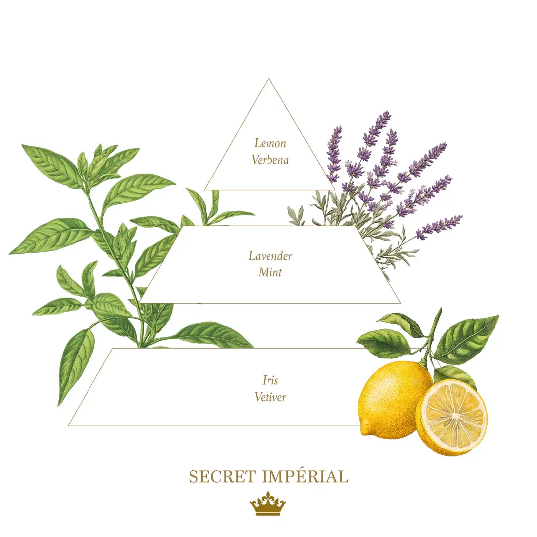 Secret Impérial（帝王祕境）蠟燭 - 彩色系列