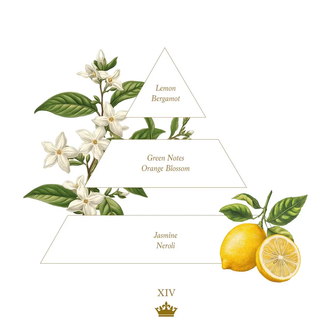 路易十四 (Louis XIV) 彩色蠟燭系列