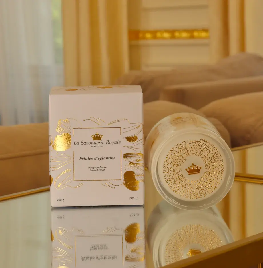 Capture_d_ecran_2025-01-08_a_12.39.53