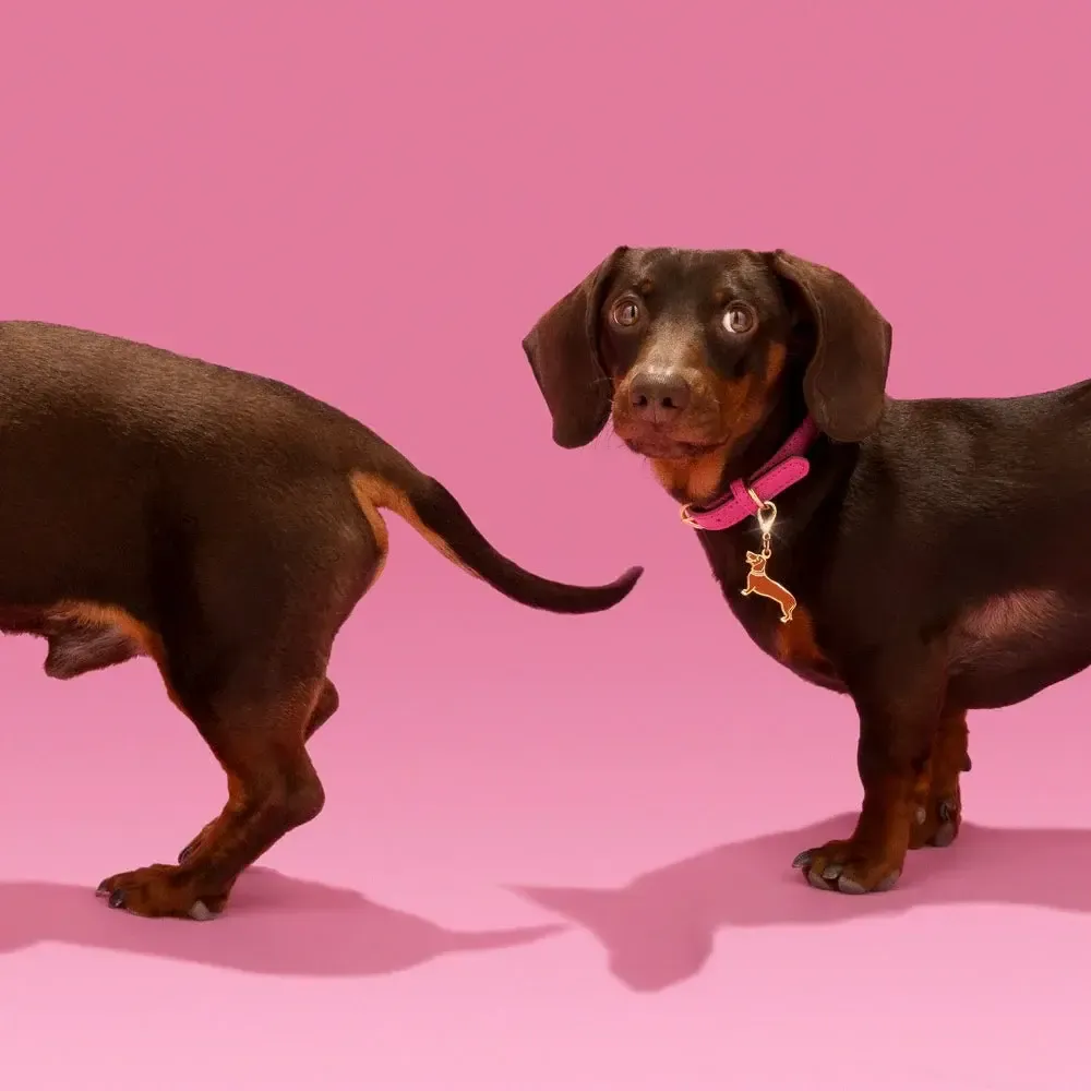 3904_5705a019-cbc4-45eb-8467-ede9744f6133