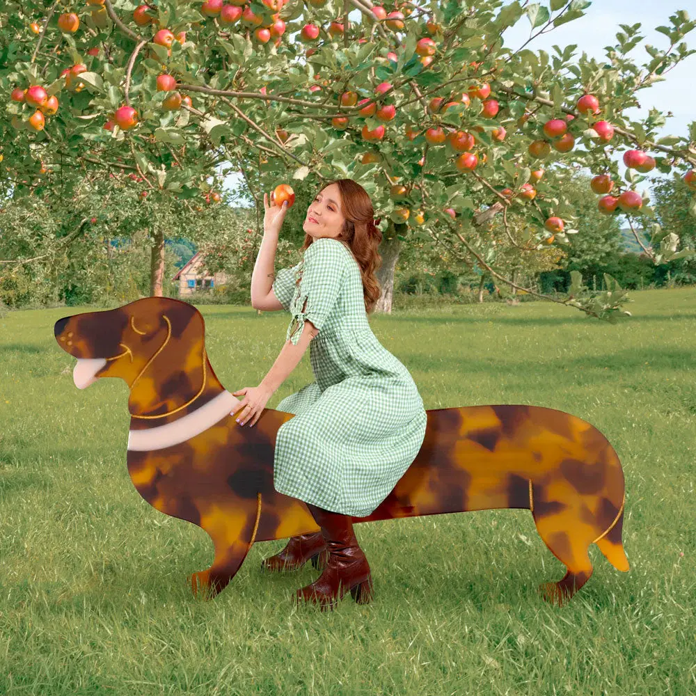 coucou-suzette-accessoire-accessory-cadeau-gift-dog-chien-ouaf-woof-barrette-french-teckel-dachshund-marron-brown-crea-Web