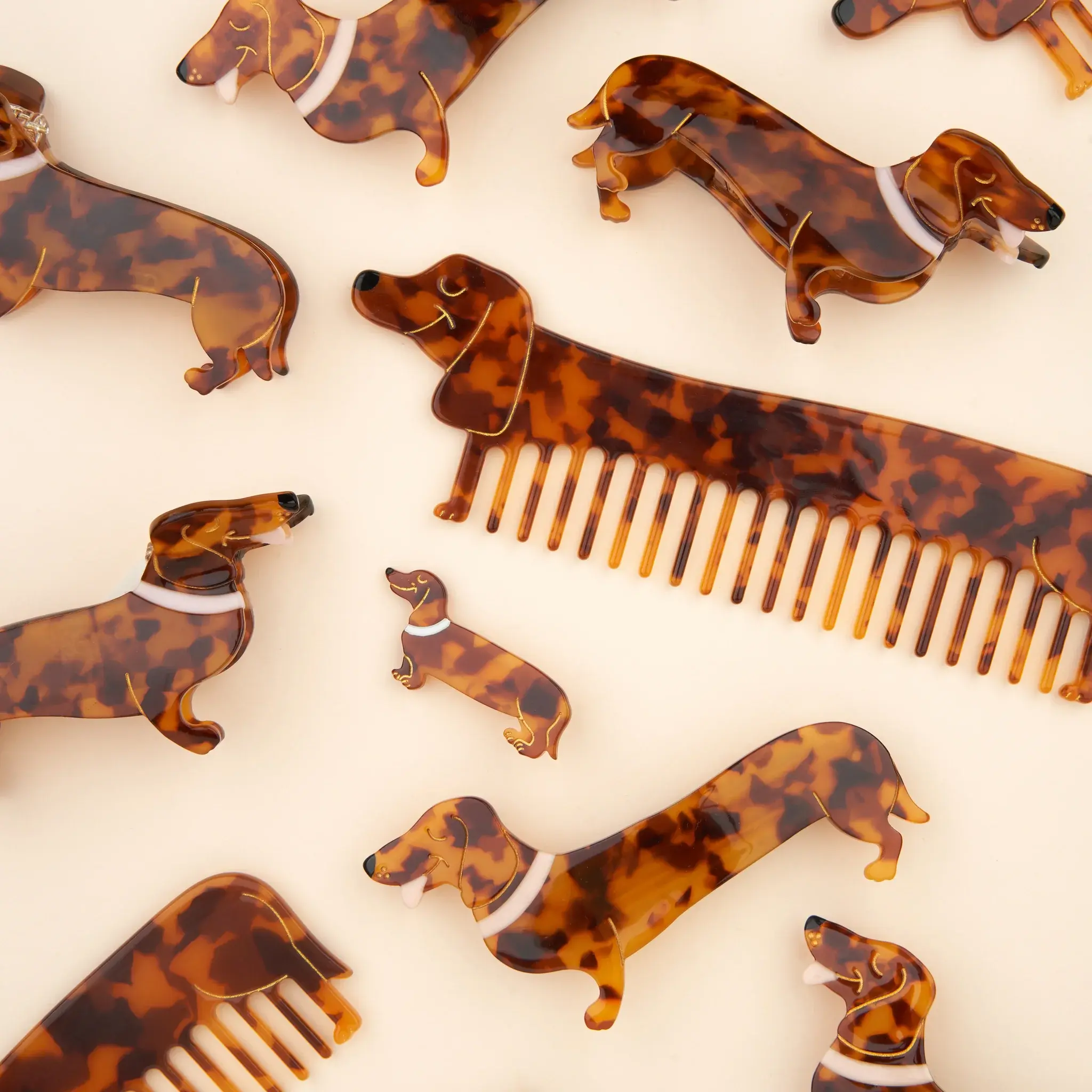 Photo-Famille-Teckel-Access-Cheveux-Carre_c70535f4-d1d5-49e5-979c-177e85e57986