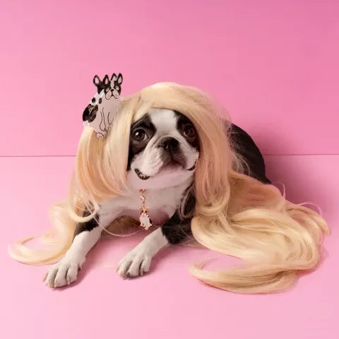 3902_7d927ec7-6710-4e96-8050-8a089cee33d2