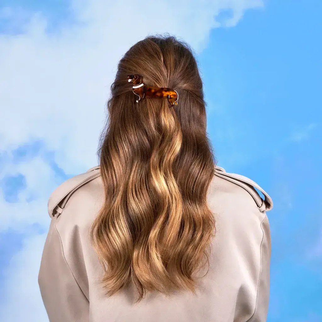 coucou-suzette-accessoire-accessory-cadeau-gift-dog-chien-ouaf-woof-barrette-french-teckel-dachshund-marron-brown-porte-Web