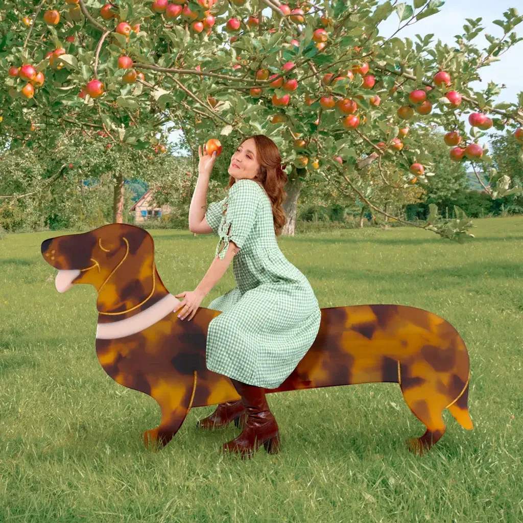 coucou-suzette-accessoire-accessory-cadeau-gift-dog-chien-ouaf-woof-barrette-french-teckel-dachshund-marron-brown-crea-Web