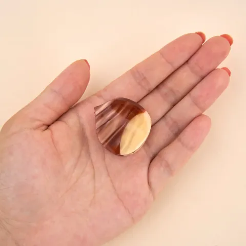 coucou-suzette-accessoire-accessory-cadeau-gift-tendance-mode-trendy-fashion-cueillette-automne-autumn-picking-harvest-mini-pince-cheveux-mini-hair-claw-acetate-chataigne-chestnut-mar_cea5a27c-789f-4f59-acf8-62bc28ba1b0d