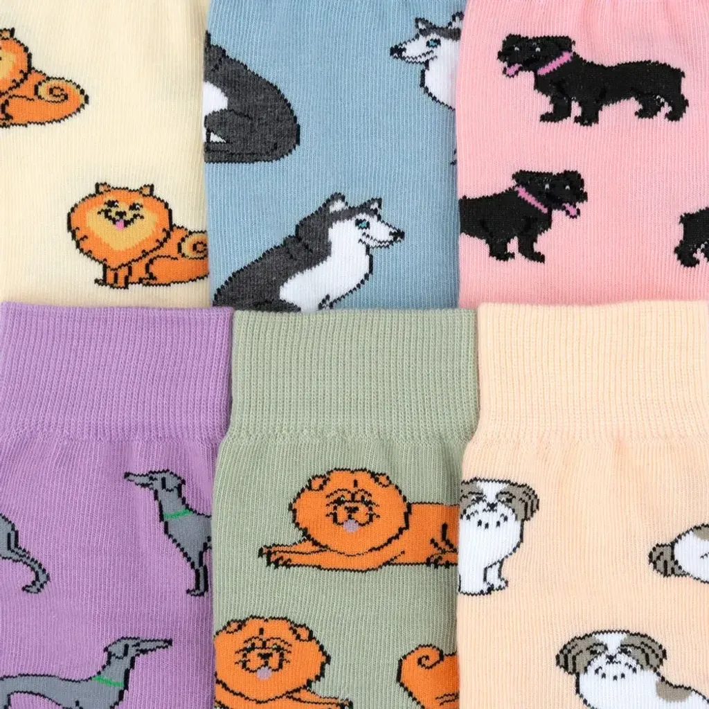 coucou-suzette-accessoire-accessory-cadeau-gift-socks-chaussettes-unisex-mixte-cotton-coton-motif-pattern-dog-chien-ouaf-woof-Web_e14adec3-2b83-4bb4-b0fc-cfb0576f2597