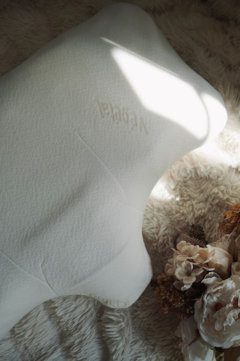 法國歐盟認證棉枕套