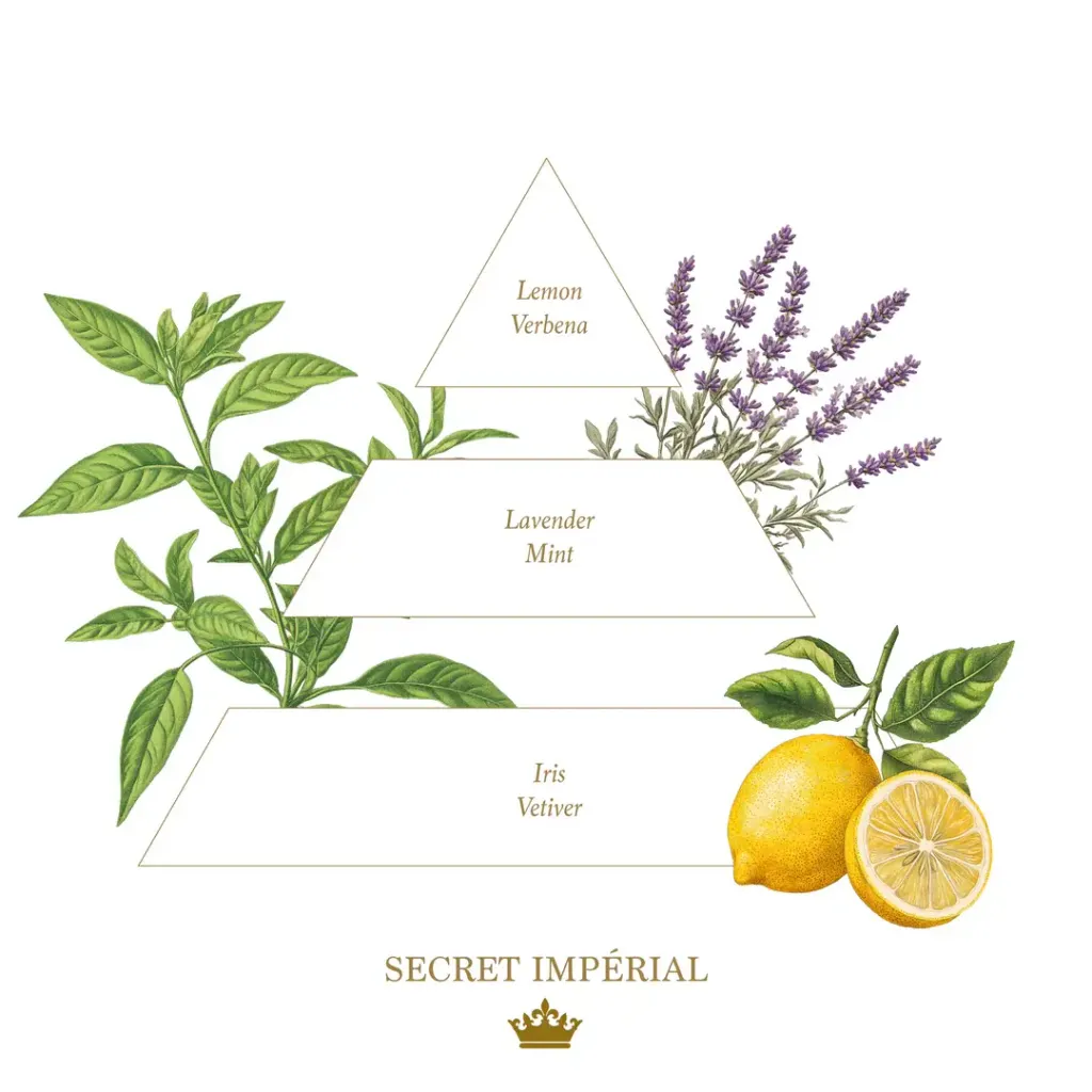 Secret Impérial（帝王祕境）蠟燭 - 彩色系列