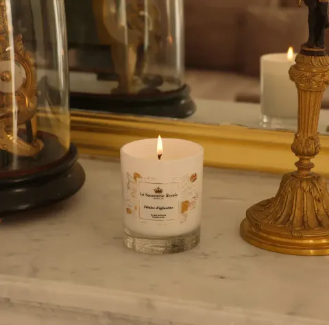 Captured_ecran2024-03-30a21.36.24