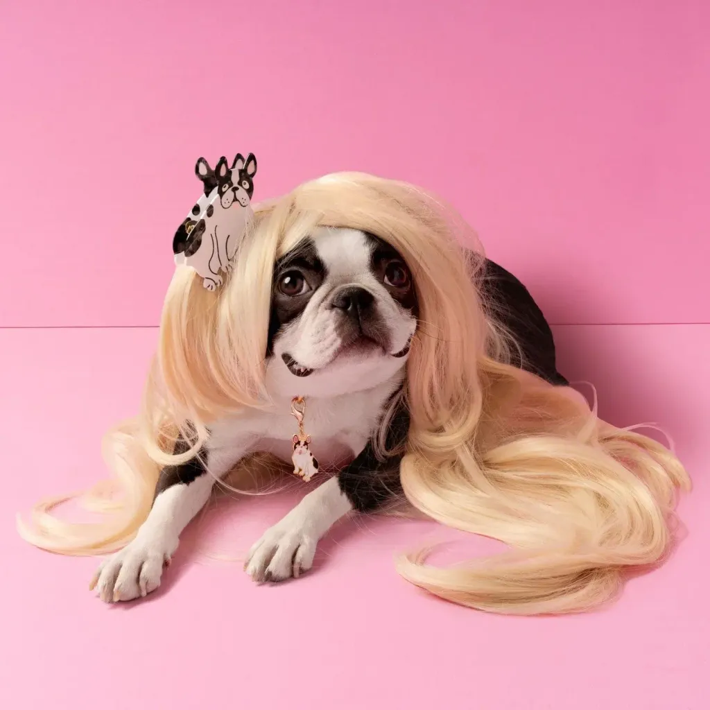 3901_9b82463c-151d-479b-bd7f-231250fa6f85