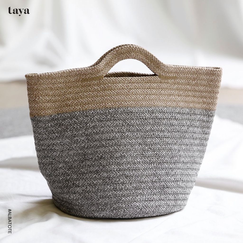 ALBA RecoveredArtboard 2