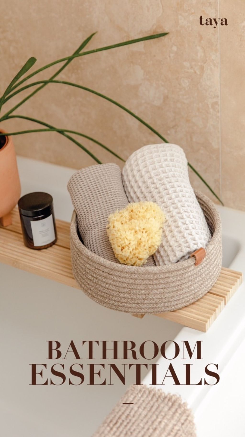 516E831F-C41E-4737-97A5-D16800C0C3DF