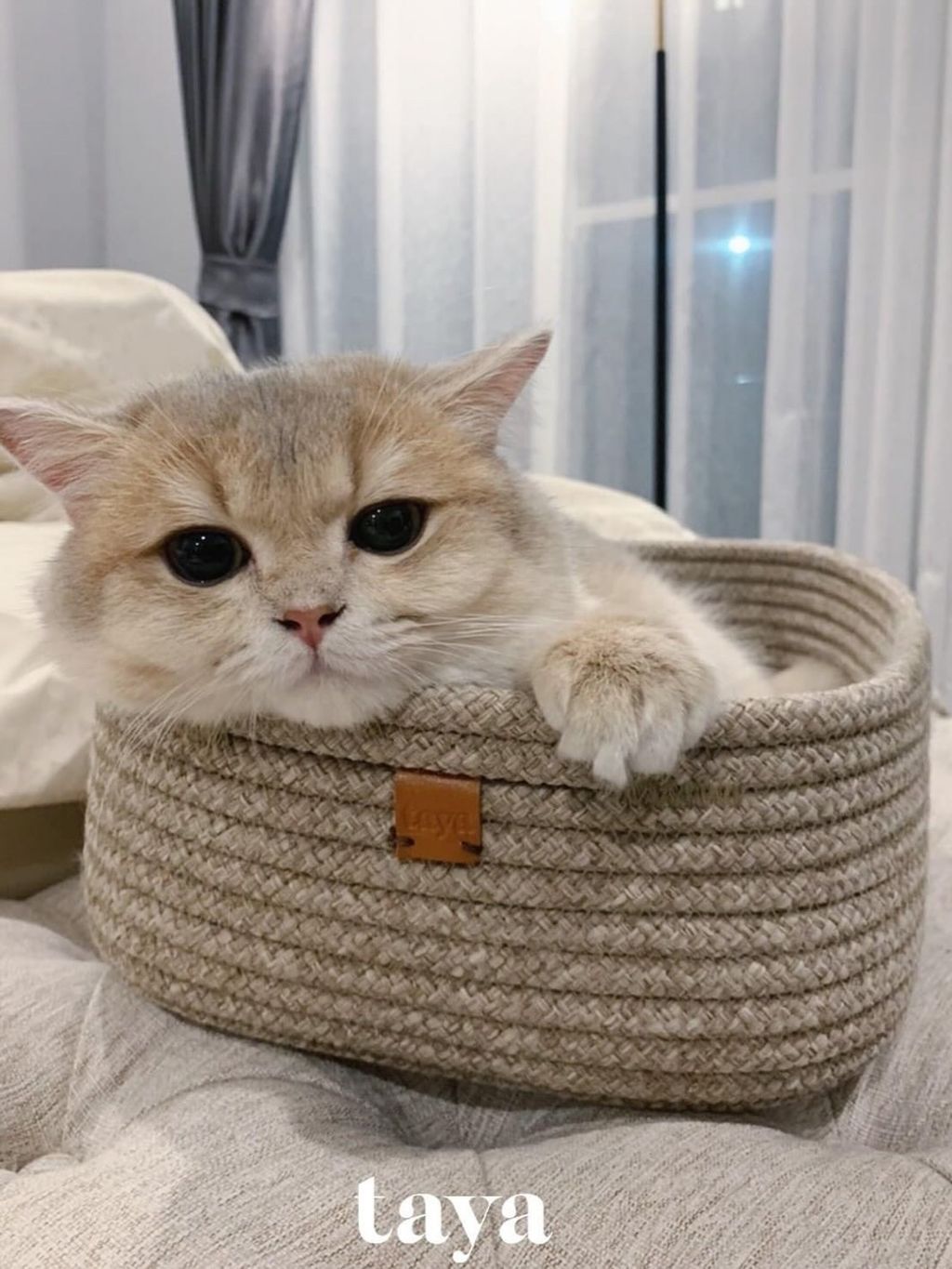 080CFB25-9636-4071-9A1F-5F14915E6B26