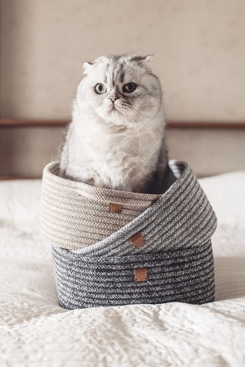 99A5E8AF-18A1-48E8-97B1-1E6FFFCAAAB8