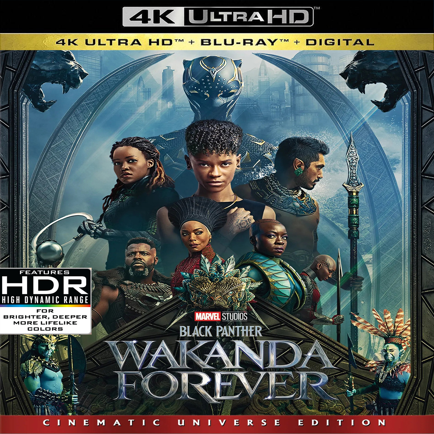 Black Panther - Wakanda Forever (2022) IMAX Edition – The RUXX Store