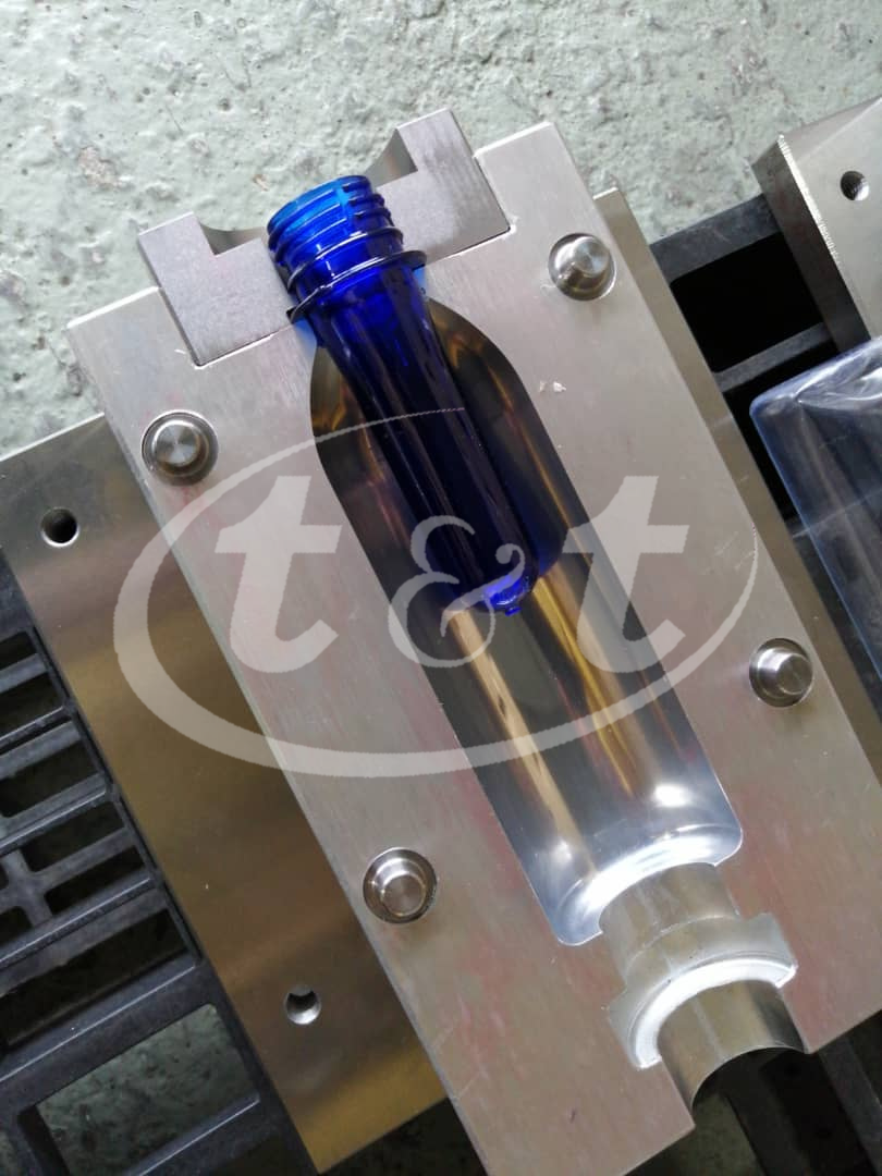 Mold photo watermarked.png