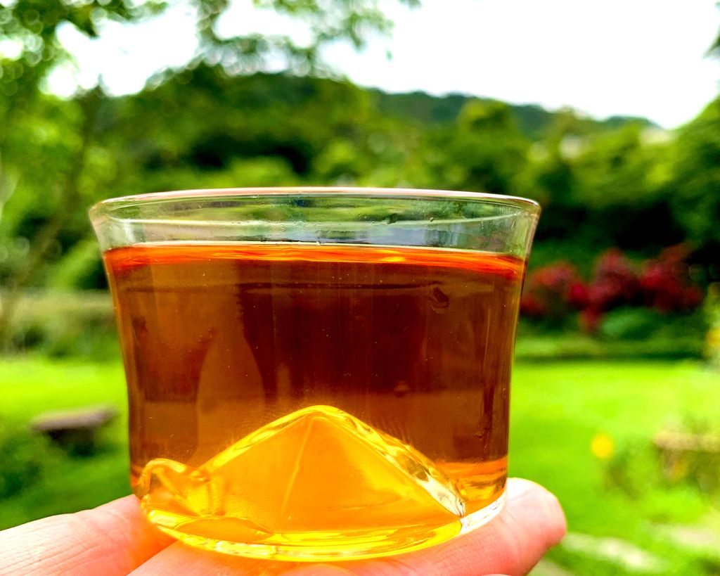 龜山島杯 (13).jpeg