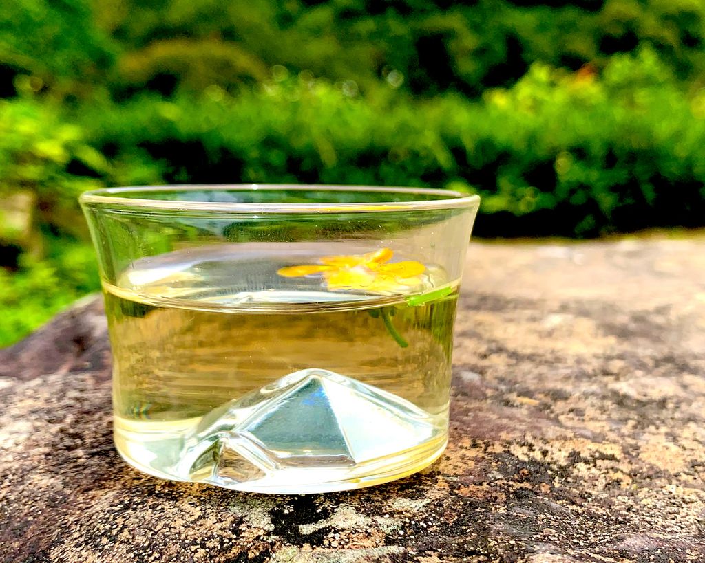 龜山島杯 (5).jpeg